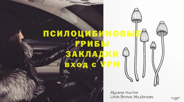 гашиш Гусев