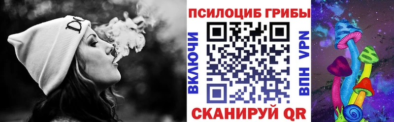 Галлюциногенные грибы Psilocybe  Купить где  Кемь 